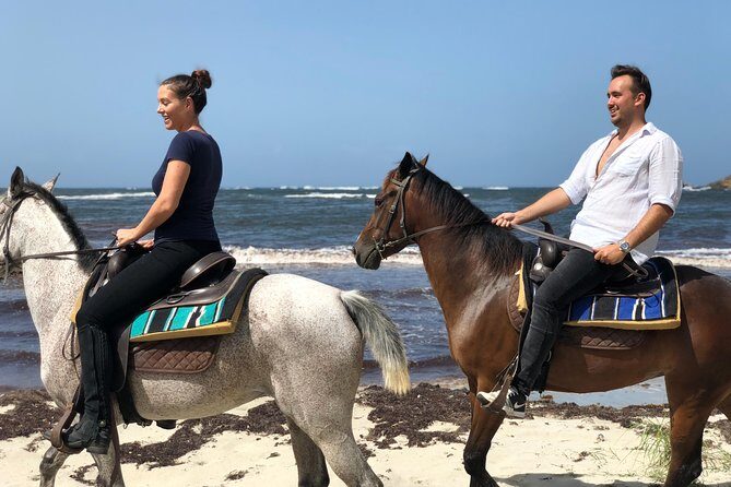 Private Advanced Horseback Beach Ride with Sandy Hoofs St. Lucia - Private Advanced Horseback at Sandy Hoofs: Why It’s Such a Good Value