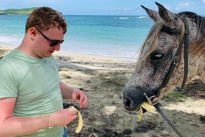 Private Advanced Horseback Beach Ride with Sandy Hoofs St. Lucia - Who’s the Best Match? (And Who Should Skip It)