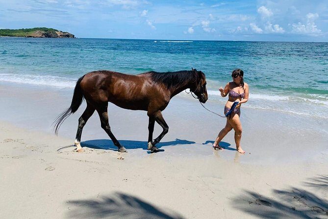 Private Advanced Horseback Beach Ride with Sandy Hoofs St. Lucia - Where You Meet and How the Session Starts (It’s Not a “Just Show Up” Thing)