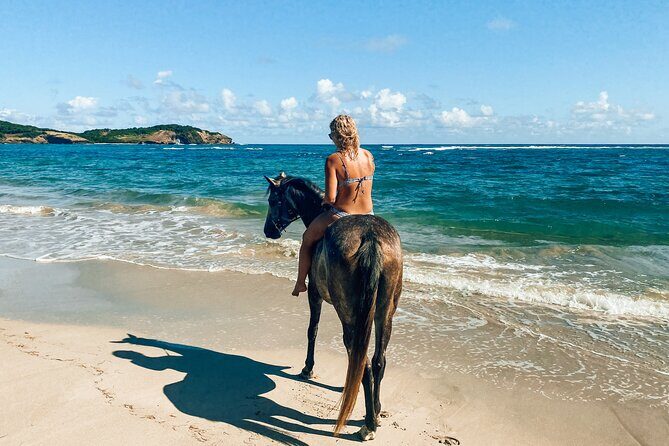Private Beach Picnic Horseback Ride with Sandy Hoofs St. Lucia - What you’re really buying on this 2.5-hour beach ride