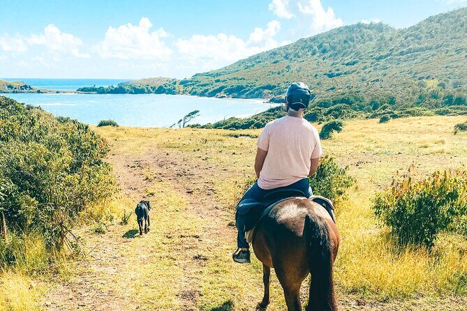 Private Beach Picnic Horseback Ride with Sandy Hoofs St. Lucia - The scenic trail to the Atlantic: what you’ll see (and why it’s worth it)