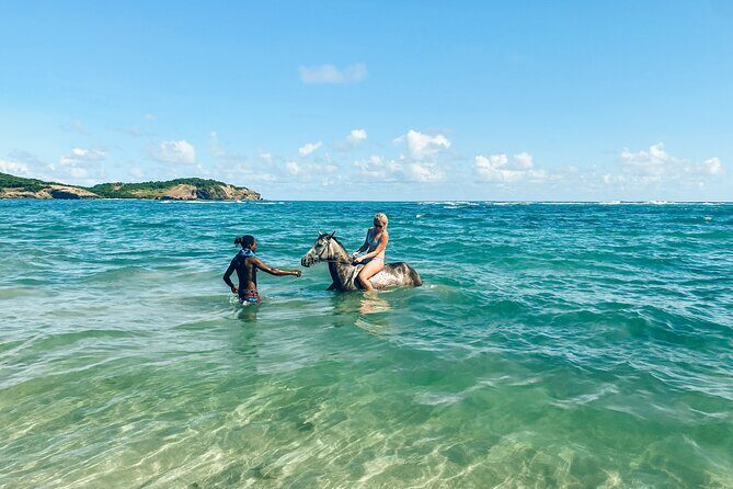 Private Beach Picnic Horseback Ride with Sandy Hoofs St. Lucia - The picnic lunch: food quality and the pace to enjoy it