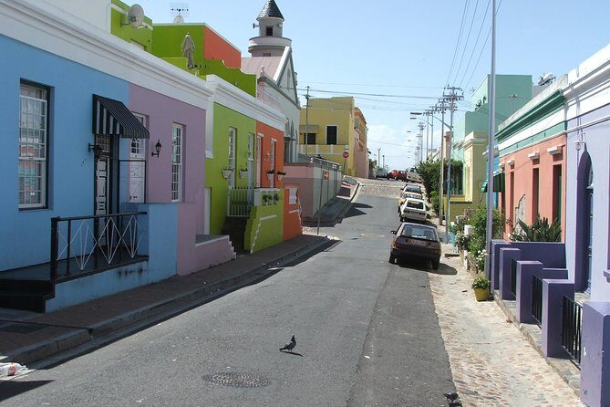 Private Cape of Good Hope and Penguins tour from Stellenbosch. - Price and logistics: what your $111.07 buys