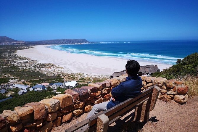 Private Cape of Good Hope and Penguins tour from Stellenbosch. - Boulders Beach penguins: the one-hour plan and ticket reality