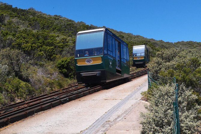 Private Cape of Good Hope and Penguins tour from Stellenbosch. - Maidens’ Cove and False Bay: the quick photo payoff at Camps Bay