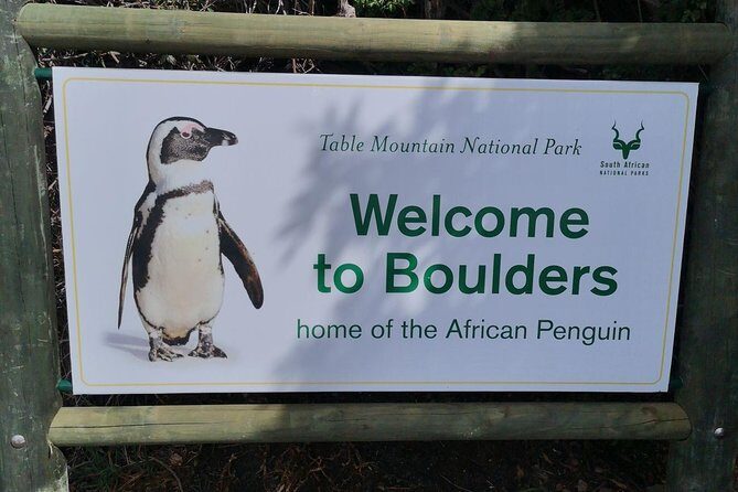 Private Cape of Good Hope Cape Point Penguin Kirstenbosch Tour. - Kirstenbosch Botanical Gardens: A Reset Before the Cape Extremes