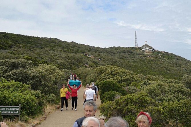 Private Cape of Good Hope Cape Point Penguin Kirstenbosch Tour. - The Return Drive: Scarborough Waves, Misty Cliffs, and Kite Surfer Country