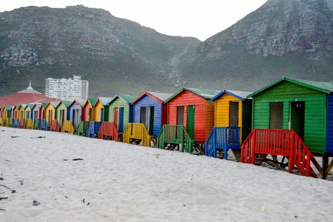 Private Cape of Good Hope Sightseeing and African Penguin Tour - Hout Bay and Duiker Island: Seals, Harbors, and “Optional” Excursions