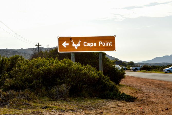 Private Cape of Good Hope Sightseeing and African Penguin Tour - Chapmans Peak Drive and Noordhoek: The Scenic Road Moment