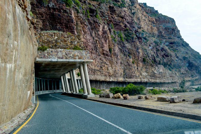 Private Cape of Good Hope Sightseeing and African Penguin Tour - Cape Point Vineyards, Ostrich Stops, and the Drive Past Real Towns