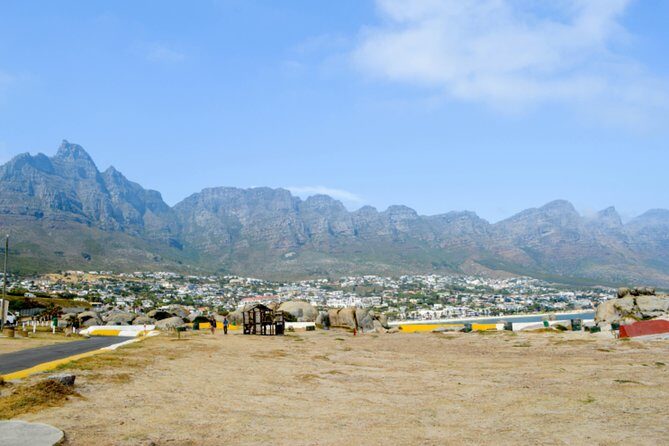 Private Cape of Good Hope Sightseeing and African Penguin Tour - Cape Point Nature Reserve: Flora, Wildlife Odds, and Big-Sight Energy