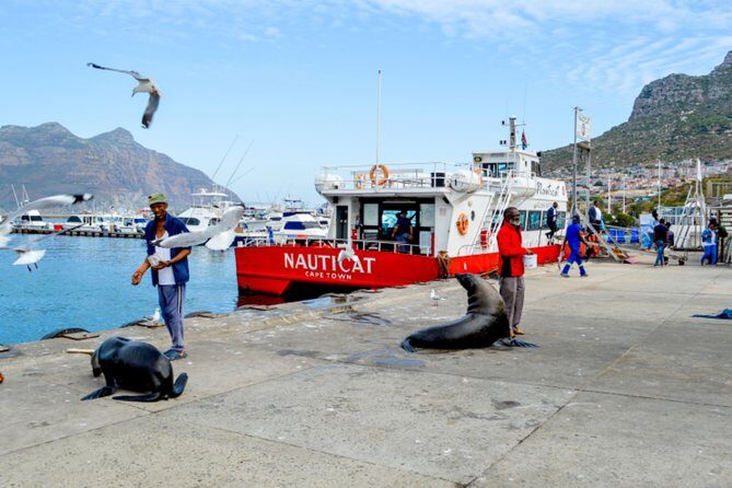 Private Cape of Good Hope Sightseeing and African Penguin Tour - Cape Point Lighthouse: Walk the Path or Take the Funicular