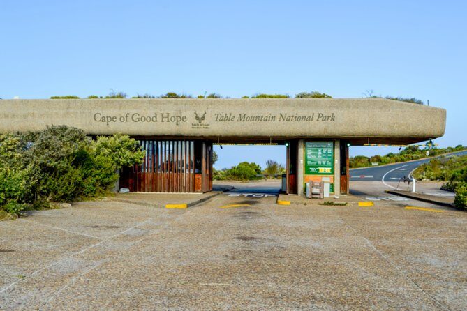 Private Cape of Good Hope Sightseeing and African Penguin Tour - Where You’ll Start and How the Day Flows