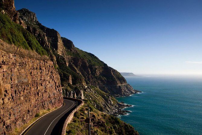 Private Cape Peninsula + Kirstenbosch Garden Full Day Guided Tour - Cape Peninsula + Kirstenbosch in One Day: Why This Order Makes Sense