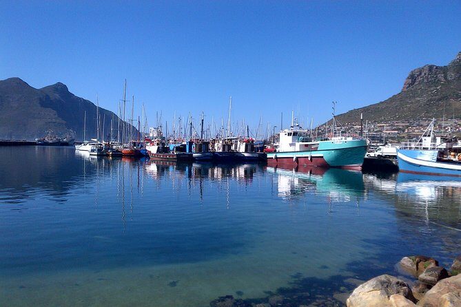 Private Cape Peninsula + Kirstenbosch Garden Full Day Guided Tour - Simons Town Passing-Through: A Naval Town Mood Without a Full Detour