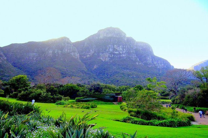 Private Cape Peninsula + Kirstenbosch Garden Full Day Guided Tour - Cape Point Nature Reserve and the Lighthouse: 360-Degree Views Plus Walking Options