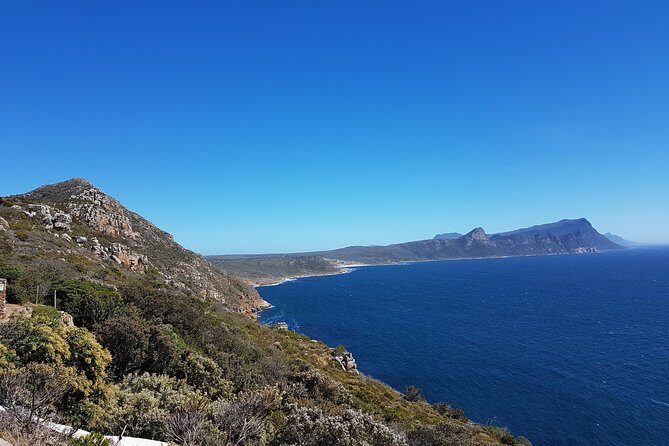 Private Cape Peninsula Tour - Cape Point, Cape of Good Hope sightseeing - Cape Point: the cliff-and-coast moment you’ll remember