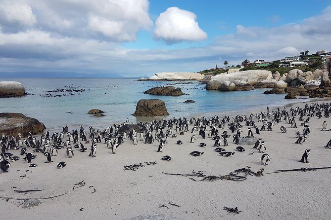 Private Cape Peninsula Tour - Cape Point, Cape of Good Hope sightseeing - Cape of Good Hope: same drama, different mood