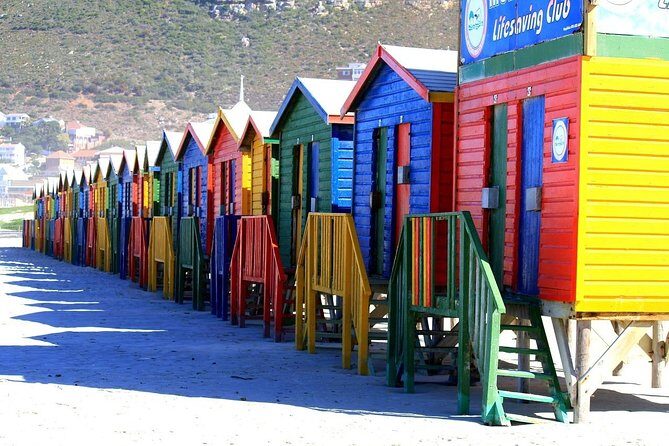 Private Cape Peninsula Tour, With Close Range Penguin Encounter From Cape Town. - Cape Point Nature Reserve: Views, Wildlife Possibilities, and Real Time