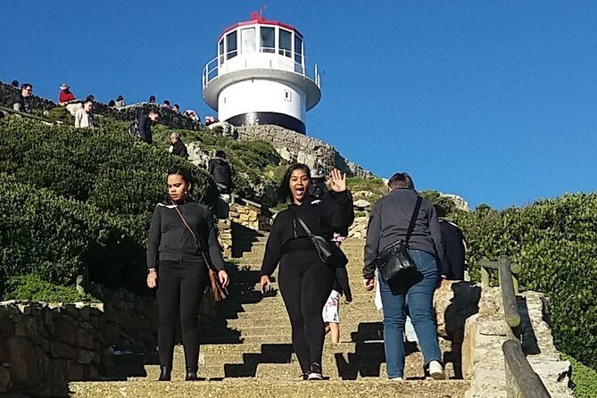 Private Cape Point Penguins Tour-Exploring the Cape Peninsula F/D - Cape Point Nature Reserve: Wildlife, Two Lighthouses, and Portuguese Origins