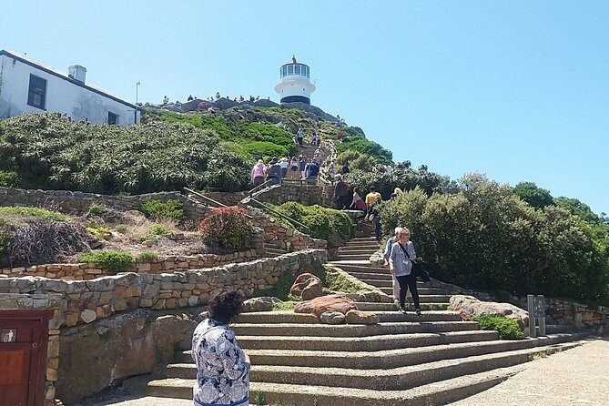 Private Cape Point Penguins Tour-Exploring the Cape Peninsula F/D - Muizenberg Beach: Local Surf Culture, Jellyfish, and Shark Spotters
