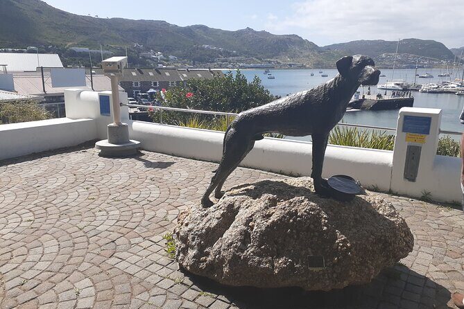 Private Cape Point / Peninsula Tour - Price and Value for a Private 5–8 Hour Day