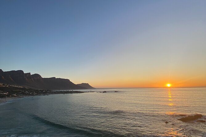 Private Cape Point / Peninsula Tour - Cape Point Nature Reserve: Cliffs, Birds, and the Funicular Option