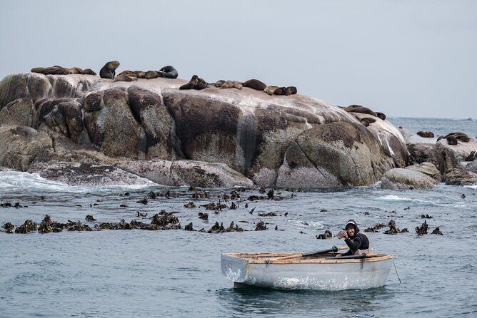 Private Cape Point / Peninsula Tour - Boulders Beach Penguin Colony: How to Enjoy African Penguins Responsibly