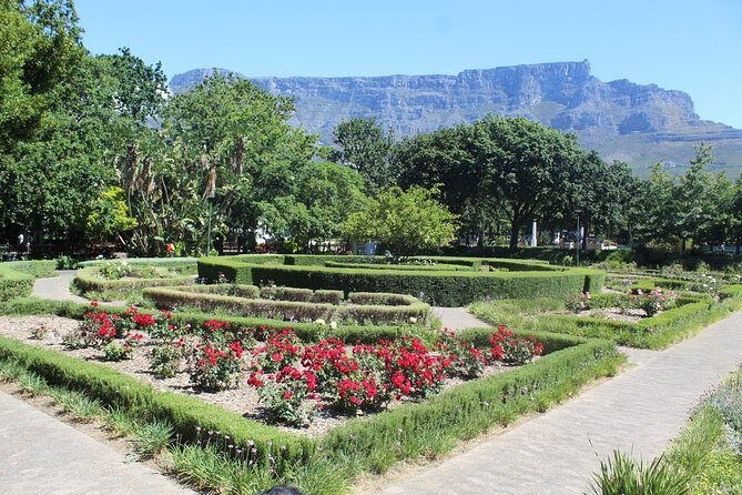 Private Cape Town City Tour Table Mountain + Cable car ticket H/D - Signal Hill: sunset views, paragliders, and the canon