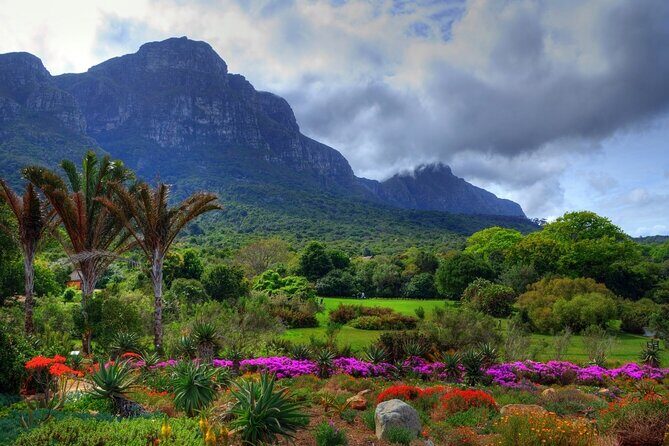 Private Cape Town City Tour table Mountain with wine tasting - Maiden’s Cove: where the coastline does the talking