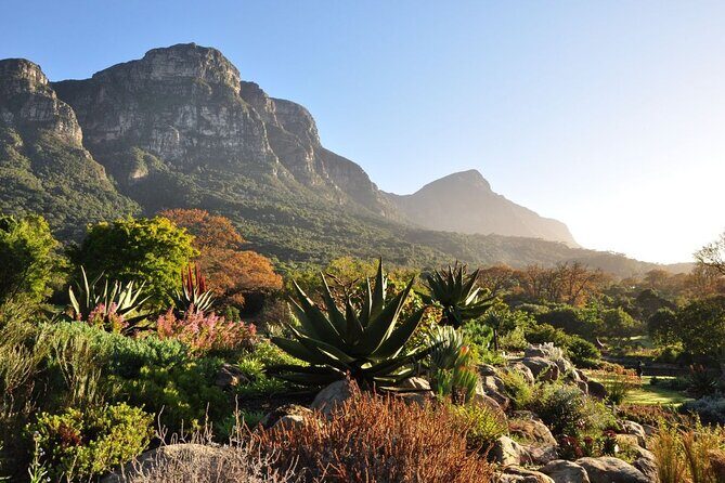 Private Cape Town City Tour table Mountain with wine tasting - Beau Constantia: the wine-farm stop, explained with tasting structure