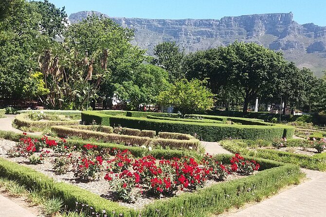 Private Cape Town Table Mountain Bo-Kaap + Cable Car Tickets H/D - The Paragliding Viewpoint Hill: Quick Glance, Big Drop-Off Views