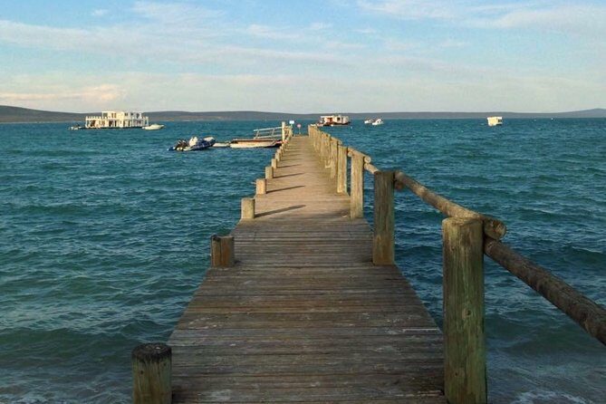 Private Cape Towns West Coastal Tour with Quad Bike - Price and what you really get at $185.01