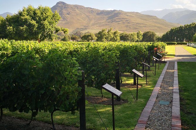 Private Cape Winelands Ful Day Ultra Flexible Guided Tour. - Key highlights you’ll care about