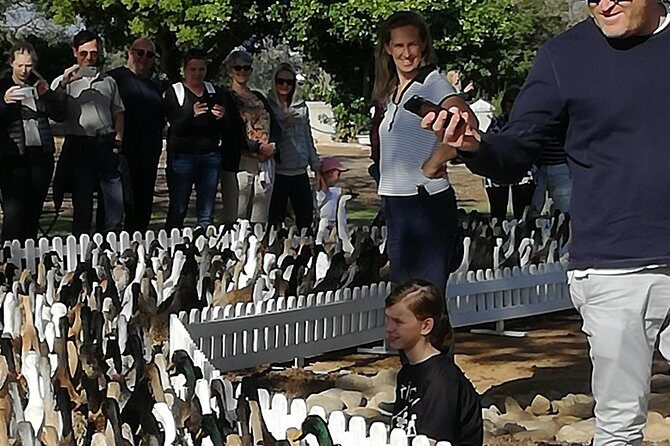 Private Cape Winelands Guided Full Day Tour from Cape Town - Delaire Graff Estate: art collection, gardens, and big Stellenbosch views