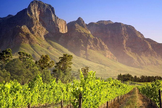 Private Cape Winelands Guided Full Day Tour from Cape Town - Timing, value, and what $115.44 really means