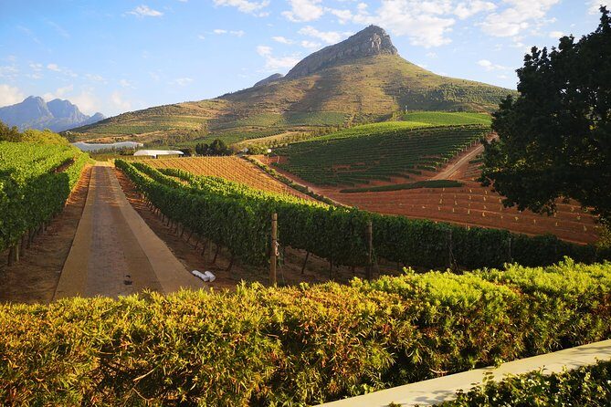 Private Cape Winelands Tour from Cape Town - Lunch With Valley Views: Plan for Your Own Account