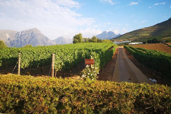 Private Cape Winelands Tour from Cape Town - Price and What You’ll Actually Pay for Tastings