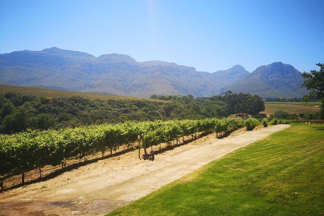 Private Cape Winelands Tour from Cape Town - Stellenbosch First: Streets, University Grounds, and a Fruit Mission Station