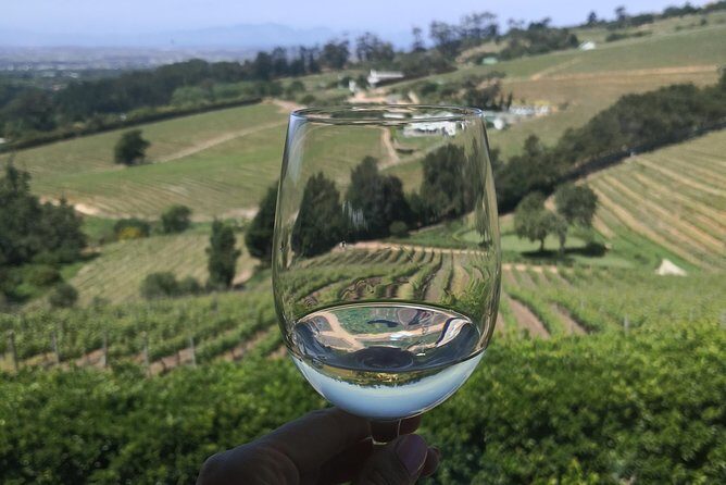 Private Cape Winelands Wine Tasting Tour - Stop 3: Stellenbosch wine and chocolate pairing (the sweet finale)