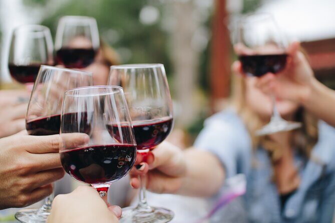 Private Cape Winelands Wine Tasting Tour - Transportation that doesn’t babysit you (but still keeps you on schedule)
