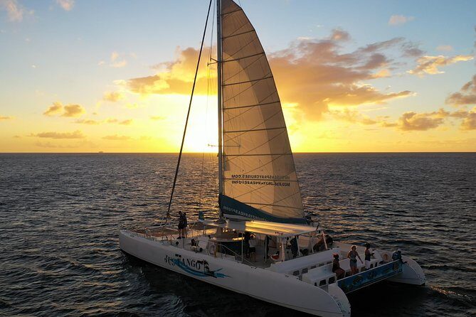 Private Catamaran Sunset Cruise from St Lucia for Up to 15 Guests - The Green Flash Tip: When and How to Look