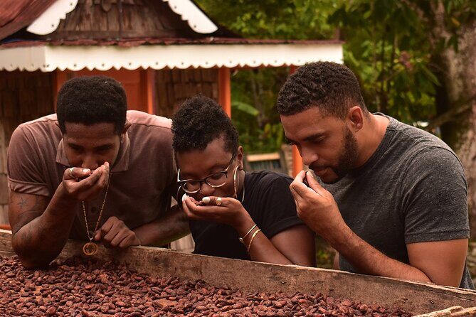 Private Chocolate Making Class - Key things I’d plan around