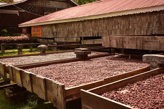 Private Chocolate Making Class - Why private really matters here