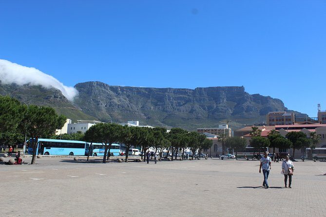 Private City Tour Table Mountain + Cable Car Ticket Camps Bay H/D - Company’s Gardens: Old Garden, Trade-Route Backstory, and Birdlife