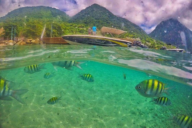 Private Custom Coastal Cruise St. Lucia Half Day - Marigot Bay and the cocktail break that adds flavor to the cruise