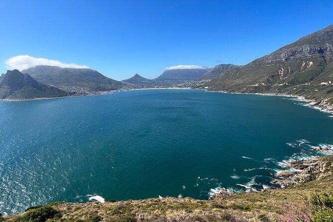 Private/Customised Cape Peninsula and Penguin Colony Tour - How the customization really works when you have a private driver