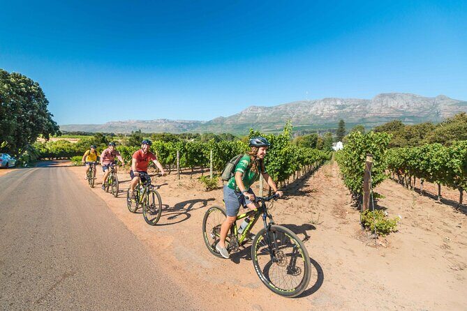 Private Cycling Tour of Constantia Winelands - Hotel pickup to the Constantia Valley: less travel time, more cycling