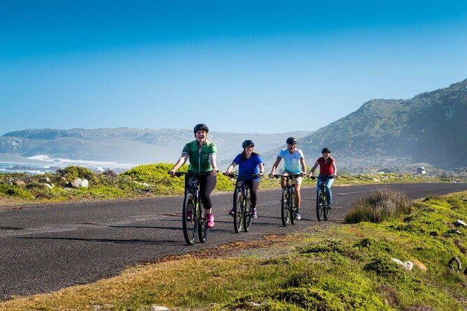 Private Cycling Tour to Cape Point from Cape Town - Why biking the Cape Peninsula beats the usual bus day