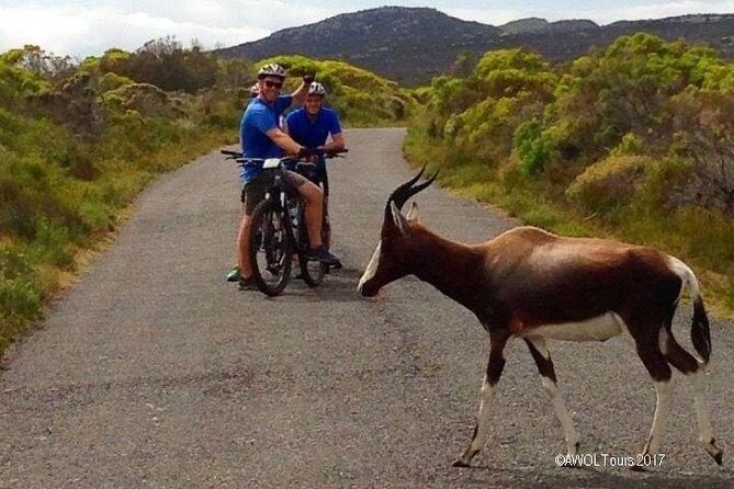 Private Cycling Tour to Cape Point from Cape Town - Chapman’s Peak Drive: the ride that sells the Cape Peninsula